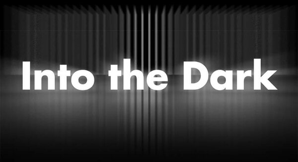 Banner: “Into the Dark”, presented by Nanotakocon, 7 December 2019.