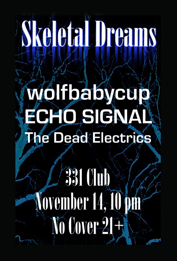 Flyer: Generic sepia flyer with Echo Signal printed above clouds and mountains in the background, a flight of ravens in the midground, and dead looking brambles in the foreground.